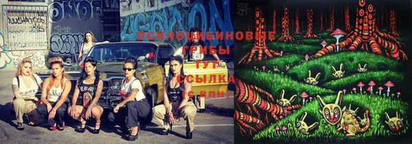MDMA Горнозаводск