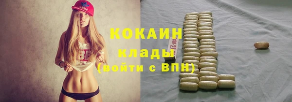 бошки Вяземский
