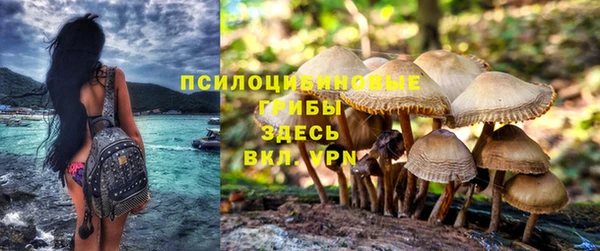 бошки Вяземский