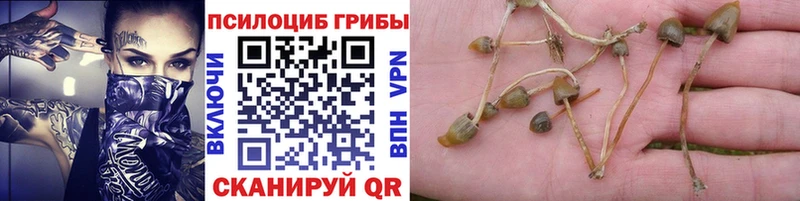 Галлюциногенные грибы прущие грибы  Купить  Лиски 